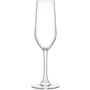 Келих Bormioli Rocco Riserva Champagne для шампанського 6х205 мл (126281GRC021990)