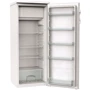 Холодильник Gorenje RB4141ANX: Тип холодильник двухкамерный