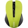 Мышь Canyon CNE-CMSW1Y
