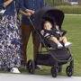 Прогулочная коляска Chicco Multiride Stroller, цв.28 (79628.28): Тип коляски Прогулочная