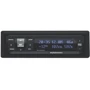 Multitronics RI-500V: Цвет экрана произвольный