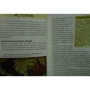 Нина Берглунд: Осло. Путеводитель Berlitz Pocket Guide: Количество страниц 160