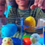 Растущая игрушка-сюрприз #sbabam Eggy animals Птички (91/CN22) фото 3