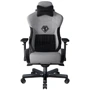 Кресло игровое Anda Seat T-Pro 2 Grey/Black Size XL (AD12XLLA-01-GB-F)