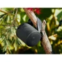 Акустика Sony SRS-XB100 Black (SRSXB100B.CE7): Звуковая система 1.0