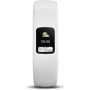 Фитнес-браслет Garmin Vivofit 4 White S/M (010-01847-11): Экран 0.43 (88х88)