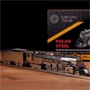 Колекційна модель-конструктор Metal Time Polar Steel Полярний експрес (MT052ST): Тип моделі железная дорога, поезда