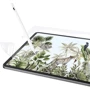 Аксессуар для iPad Switcheasy EasyPaper Transparent (MPD212107TR22) for iPad Pro 12.9 (2018-2022): Цвет прозрачный