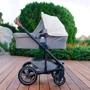 Універсальна коляска 2 в 1 Nuna Mixx Birch (ST10503 / CC09803BIRGL): Тип коляски універсальна коляска (2-в-1)