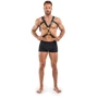 Портупея Bedroom Fantasies Rocco Masculine Masterpiece - Black