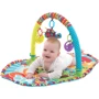 Розвиваючий килимок Playgro Ігри в парку (від 0 міс.) (0184213): Особливості ігрові дуги