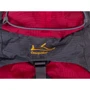 Рюкзак Onepolar красный (W1702-red): Тип Рюкзаки