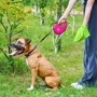 Поводок-рулетка для собак WAUDOG R-leash с контейнером для пакетов M розовый до 20 кг 5 м (26287): Длина 5 м