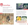 Oxford Read and Discover 2: Camouflage: Производитель Oxford University Press