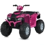 Детский электромобиль Bambi Квадроцикл розовый (M 6060EL-8(24V))