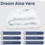 Одеяло ТЕП Dream Collection Aloe Vera 200х210 см (1-00761): Тип Всесезонные