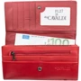 Женский кошелек 4U Cavaldi красный (DNKPL27-SN-red): Формат кошелька Горизонтальный