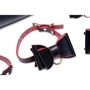 Набор для BDSM Master Series Bow - Luxury BDSM Set With Travel Bag