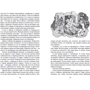 Борис Житков: Морські історії: Автор Борис Житков