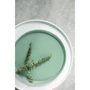 Столовый сервиз Dovbysh Porcelain NOVA Green 12 предметов (DP100GRN): Материал фарфор