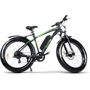Электровелосипед GreenGo Bruiser Black Green: Цвет зеленый