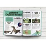 Джульетта Стэнли: Minecraft. Драконы: ISBN 978-5-17-121077-9