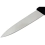 Набор ножей для овощей Victorinox SwissClassic Paring 8см черный 2 шт (6.7603.B): Для овощей / для чистки 2 (8 см)