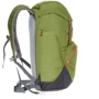 Рюкзак Рюкзак Deuter Walker 24 колір 2443 pine-graphite (3810717 2443) фото 11