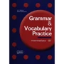 Grammar & Vocabulary Practice Intermediate/B1: Student's Book