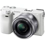 Sony Alpha A6000 kit (16-50mm) White: Тип матрицы CMOS