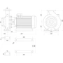 Поверхностный центробежный насос SAER IR 50-200A 15 кВт (75 м3/ч, 61.8 м) фото 4