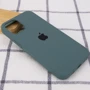 Чехол для iPhone Mobile Case Silicone Case Full Protective Green/Cactus for iPhone 14 Pro: Цвет зеленый