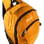 Мужской рюкзак Valiria Fashion желтый (5DETBU2816-3): Застежка Молния