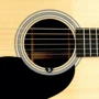 Тюнер PLANET WAVES PW-CT-15 NS MICRO SOUNDHOLE TUNER: Тип Тюнеры