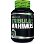 Бустер тестостерона Tribulus Maximus 90 tabs BioTechUSA  Трибулус Максимус: Форма выпуска таблетированные