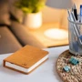 Светильник-книга на аккумуляторе MINI URBAN Gingko Англия оранжевый (GK12F-OE8): Вид Другое