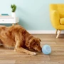 Іграшка для собак Planet Dog Снуп зі схованою для ласощів блакитний (pd68743) фото 4