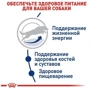 Сухой корм для собак Royal Canin Maxi Adult 5+ крупных пород старше 5 лет 15 кг (3008150): Класс Супер премиум