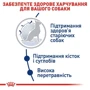 Сухой корм Royal Canin Maxi Ageing 8+ для собак крупных пород старше 8 лет 15 кг (2454150): Порода Крупные