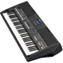 Синтезатор Yamaha PSR-SX600: Тип Розважальні