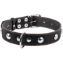 Ошейник Collar одинарный с украшением ш 35 мм, д 48-63 см черный (02711): Производитель Collar