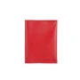 Обложка для паспорта The Wings красная (TW-PassportHolder-red-saf)