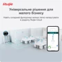 Маршрутизатор Wi-Fi Ruijie Networks RG-EG209GS фото 6