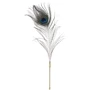 Набор перышек для ласк LOCKINK Sevanda Natural Peacock Flirting Feather Tickler