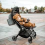 Прогулочная коляска Lionelo Julie One Stone Grey: Тип коляски Прогулочная