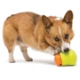 Іграшка для собак West Paw Toppl XLarge Tangerine/Топпл для ласощів великий помаранчевий (ZG085TNG) фото 2