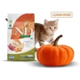 Сухий беззерновий корм Farmina Pumpkin Duck & Cantaloupe Melon для дорослих кішок з качкою та гарбузом 5 кг (8010276036131): Вік Взрослые