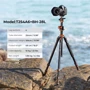 K&F Concept T254A4+BH-28L (KF09.090V1): Тип штатива напольный