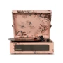 Виниловый проигрыватель Crosley Voyager (Flora)