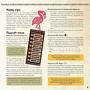 Бумунту. Настольное путешествие в африканские джунгли: Обложка Картон